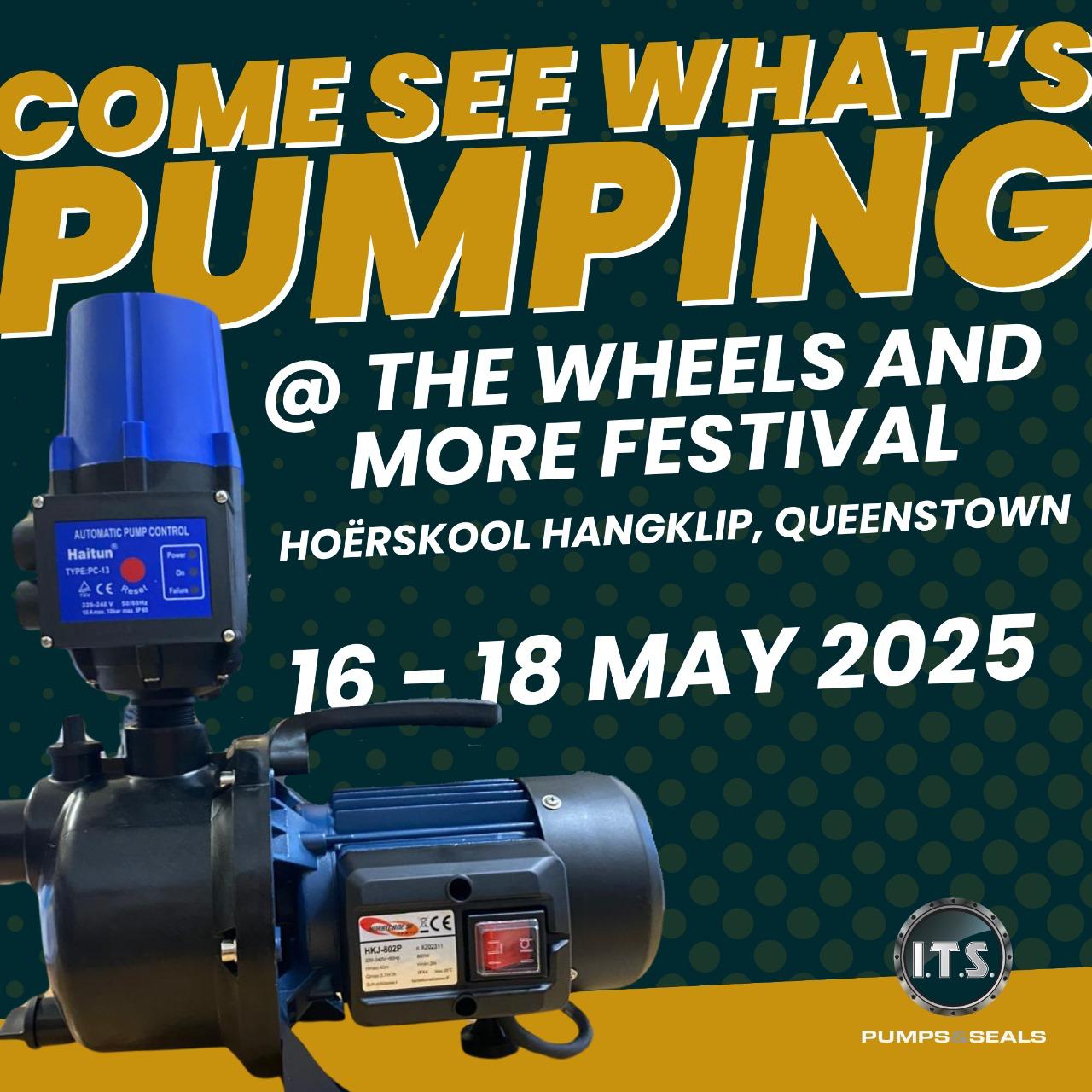 Queenstown WAM Wheels and more festival 4